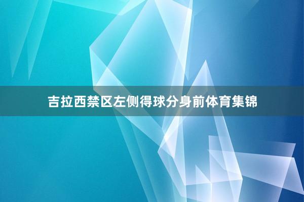 吉拉西禁区左侧得球分身前体育集锦